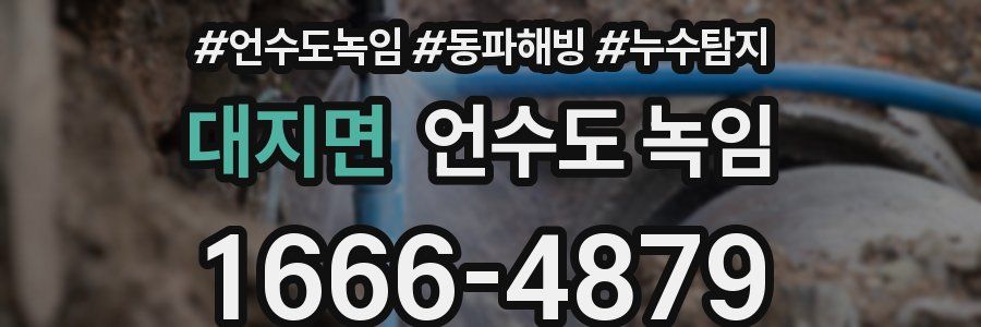 대지면 언수도 녹임