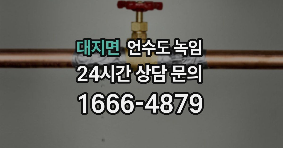 대지면 언수도 녹임