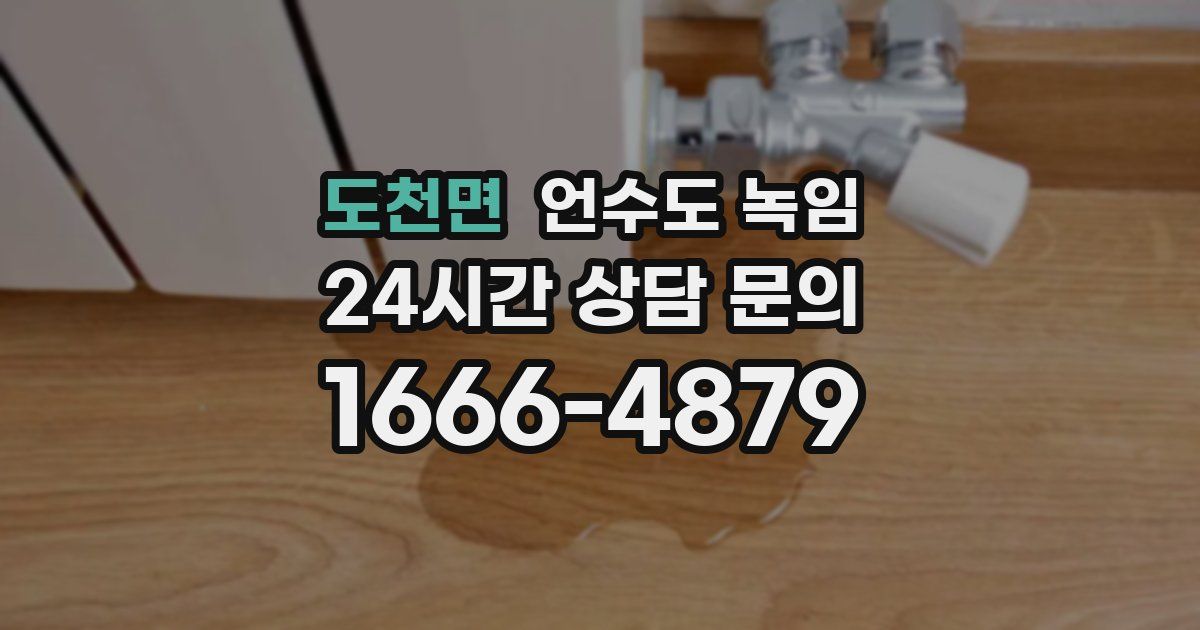 도천면 언수도 녹임