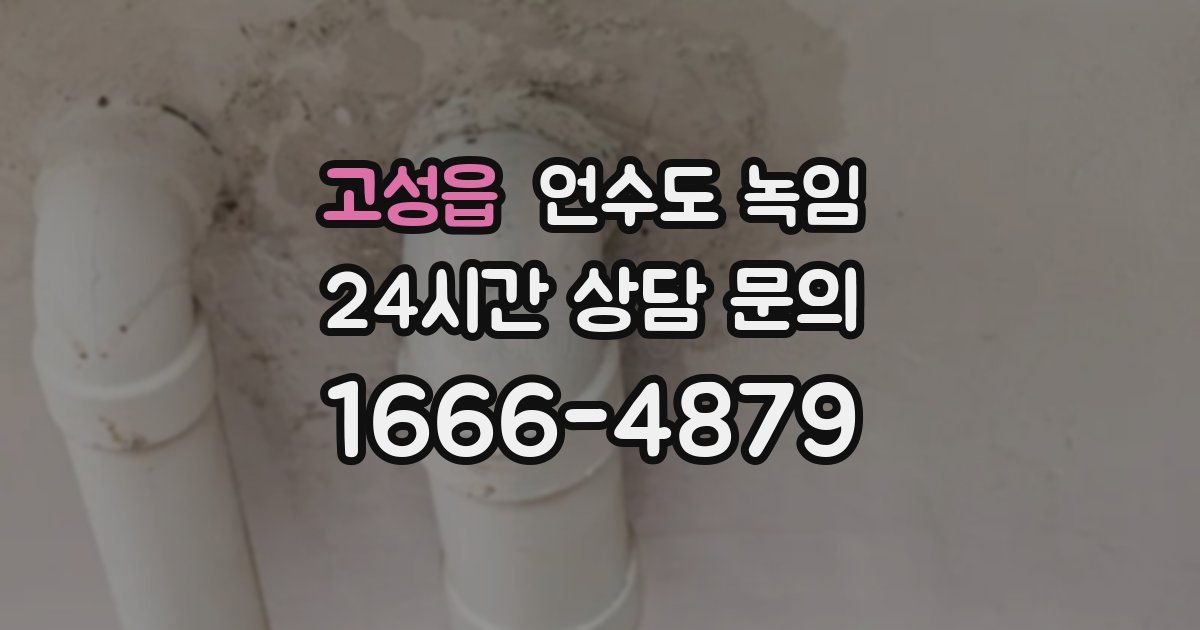 고성읍 언수도 녹임