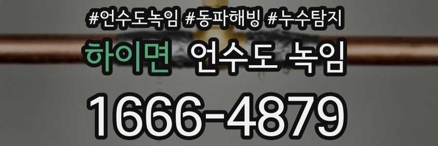 하이면 언수도 녹임