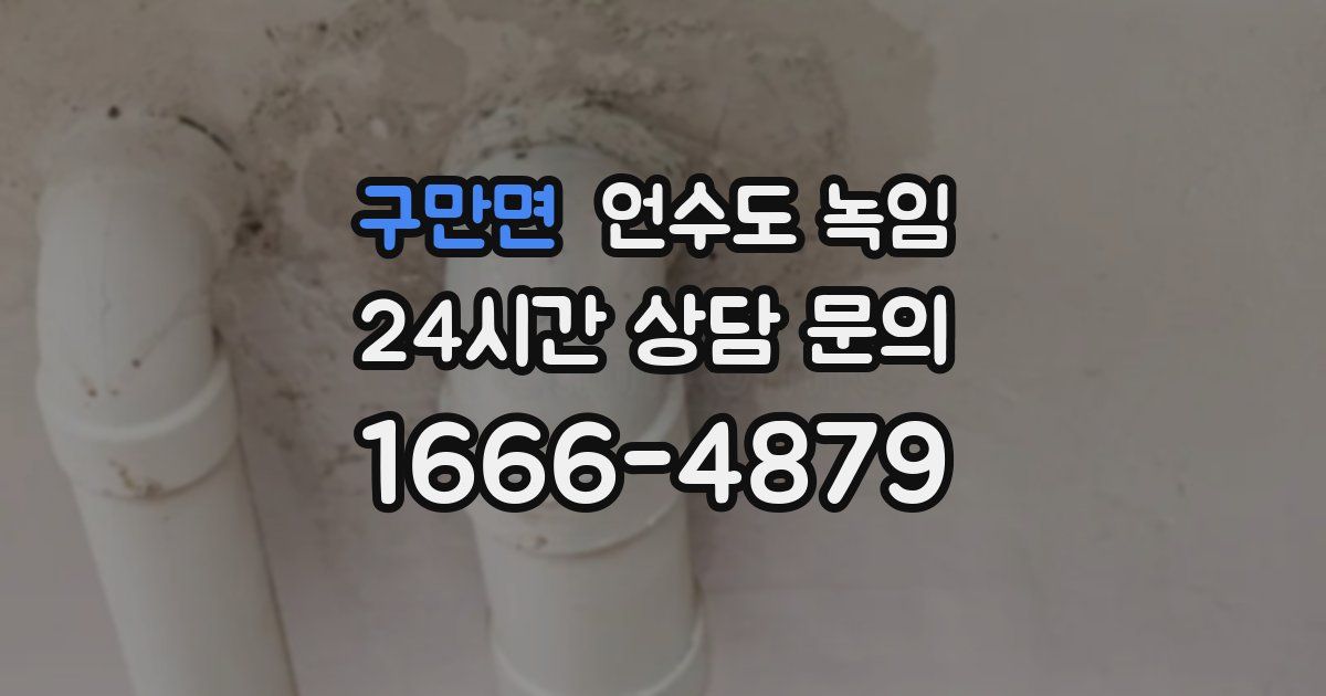 구만면 언수도 녹임