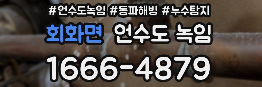 회화면 언수도 녹임