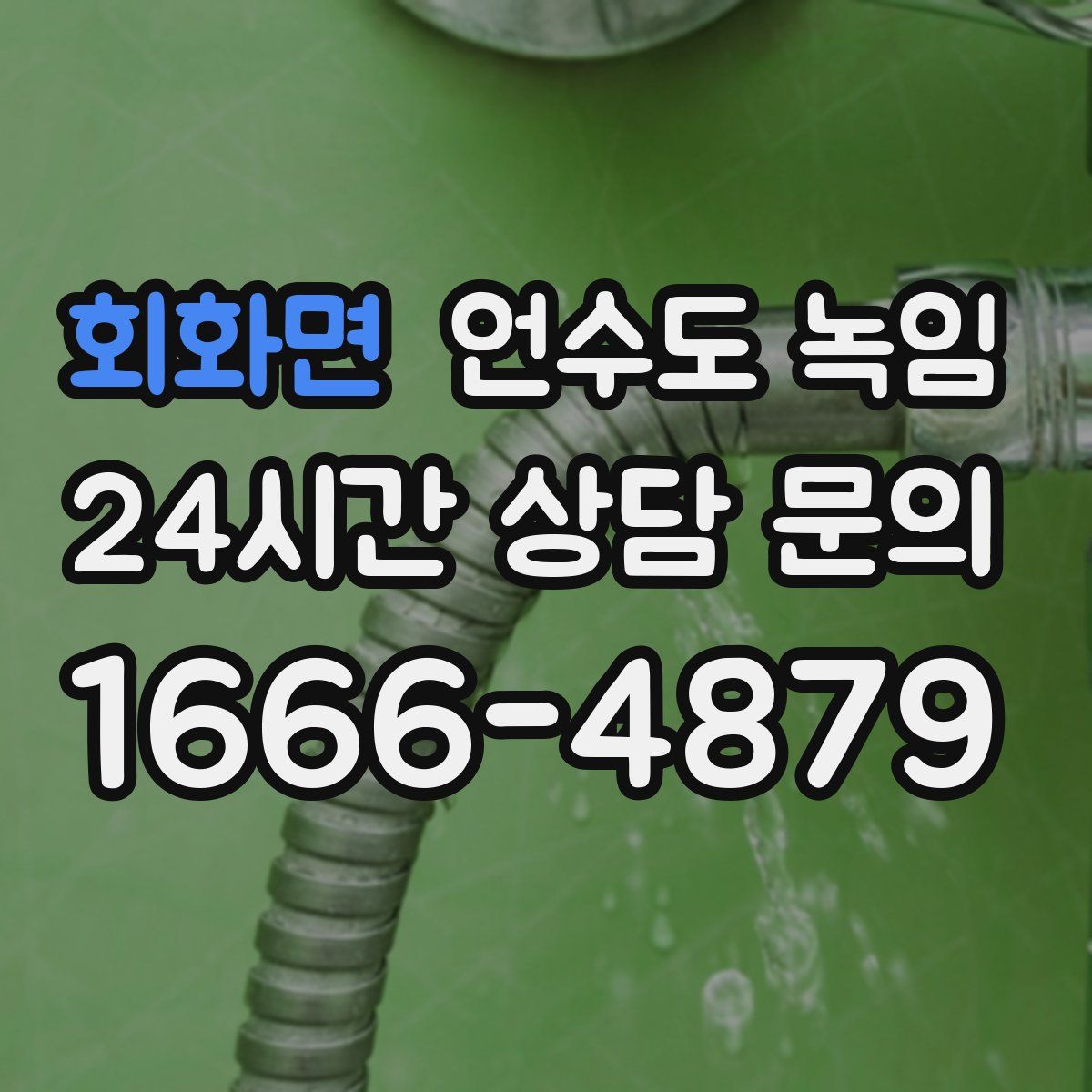 회화면 언수도 녹임