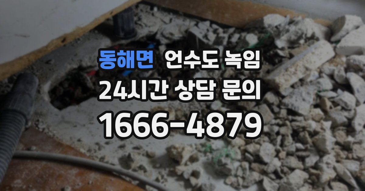 동해면 언수도 녹임