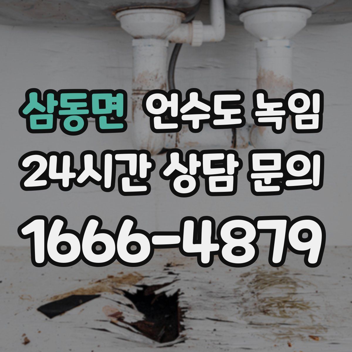 삼동면 언수도 녹임