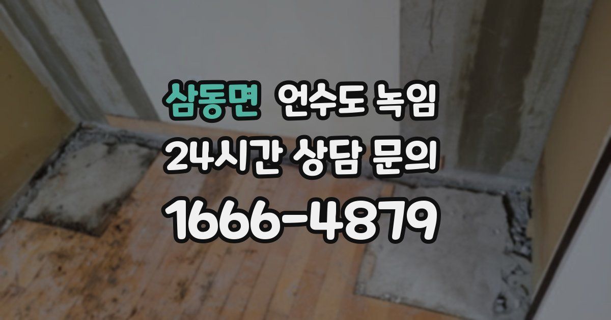 삼동면 언수도 녹임