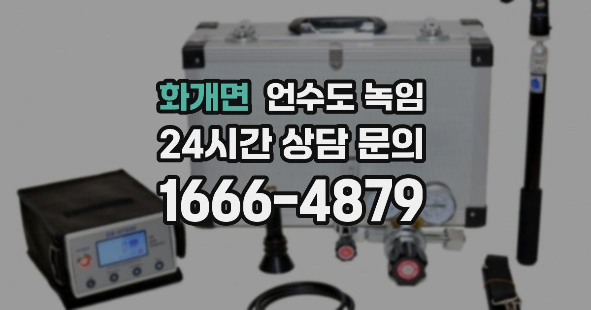 화개면 언수도 녹임