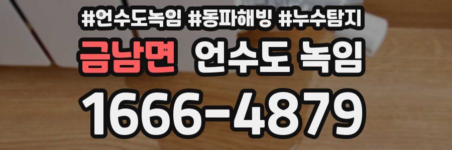 금남면 언수도 녹임