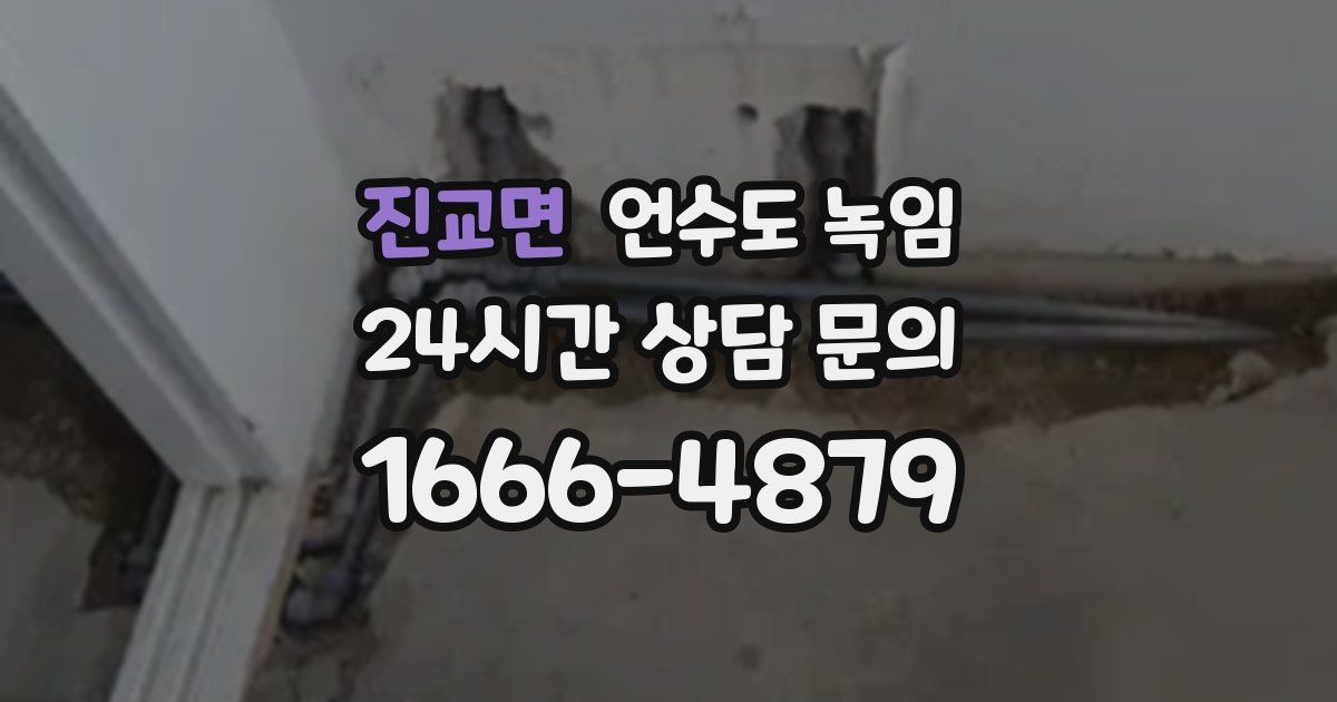 진교면 언수도 녹임