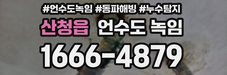 산청읍 언수도 녹임