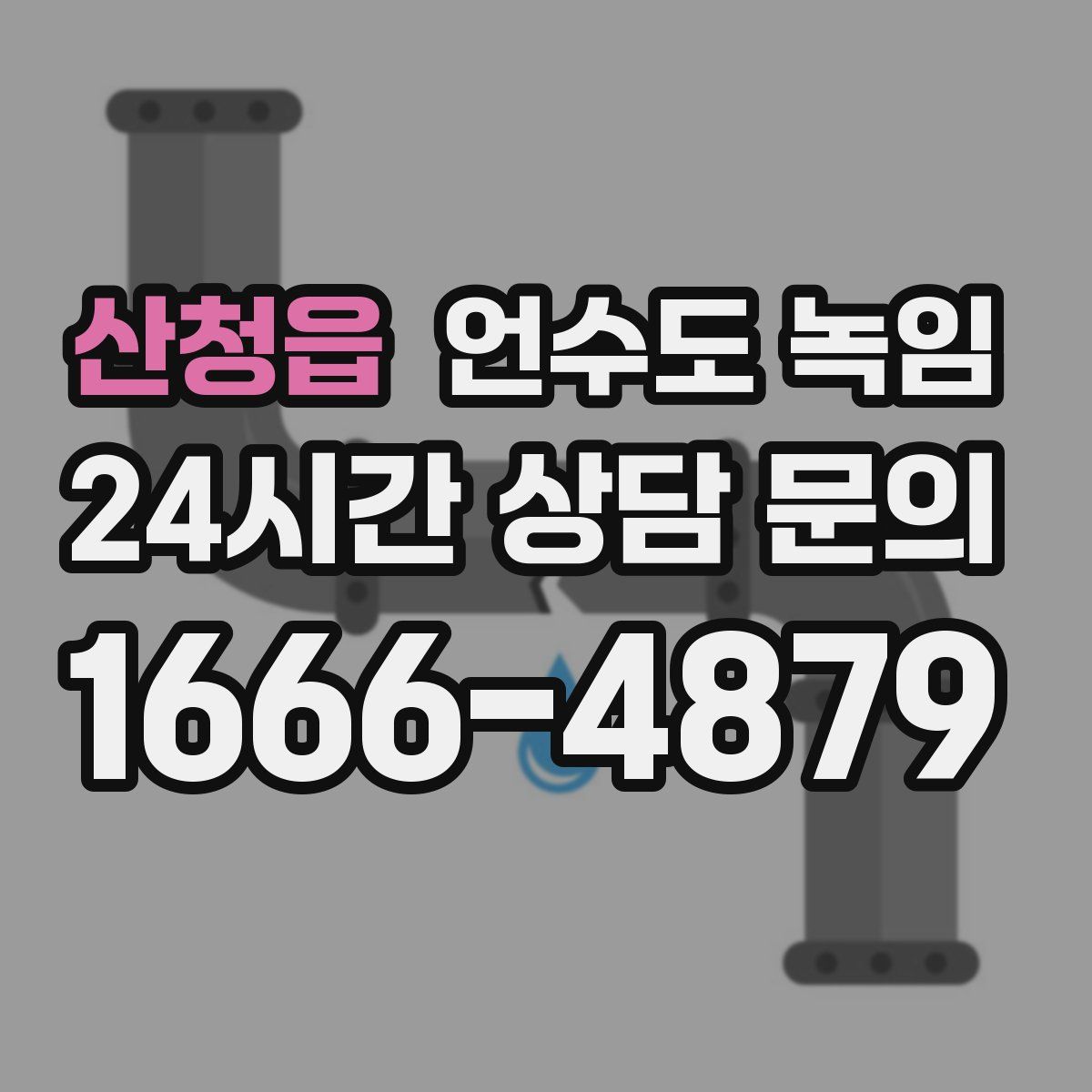 산청읍 언수도 녹임