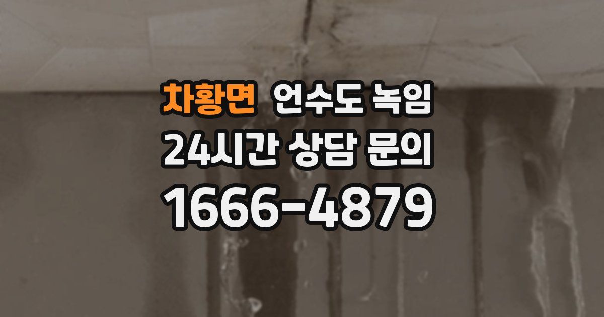 차황면 언수도 녹임