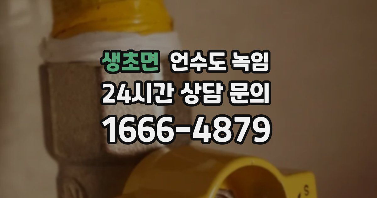 생초면 언수도 녹임