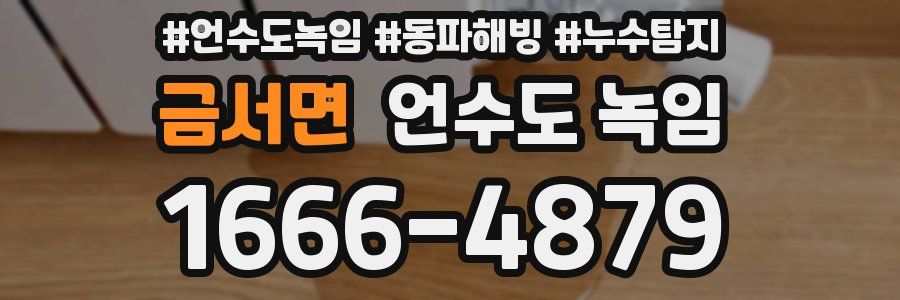 금서면 언수도 녹임