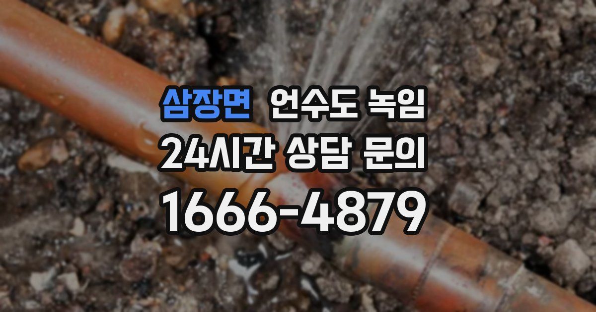 삼장면 언수도 녹임