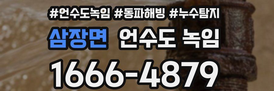 삼장면 언수도 녹임