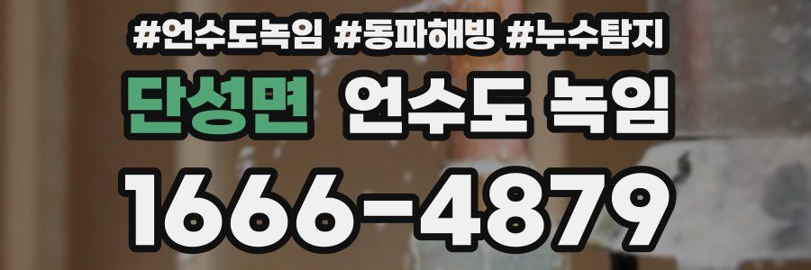 단성면 언수도 녹임