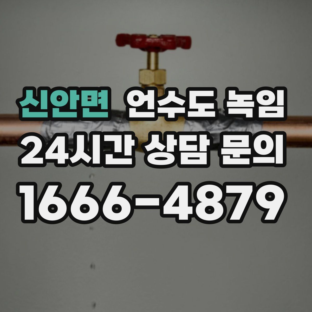 신안면 언수도 녹임