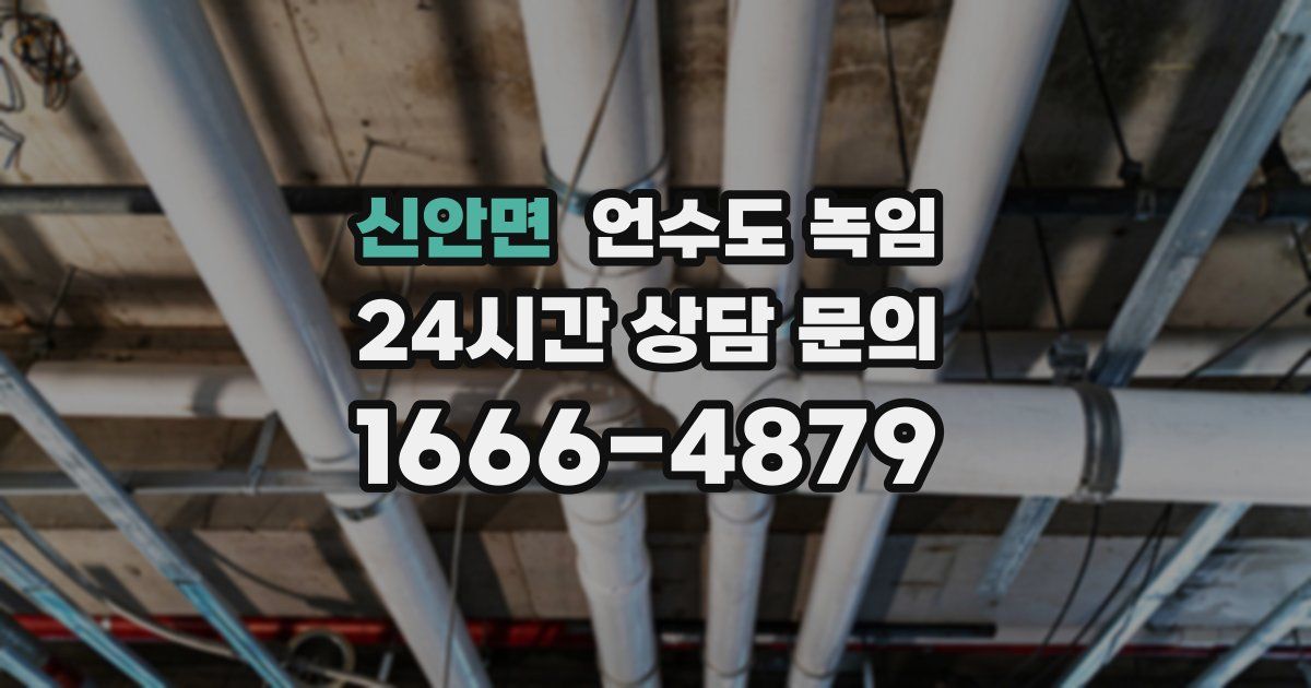 신안면 언수도 녹임