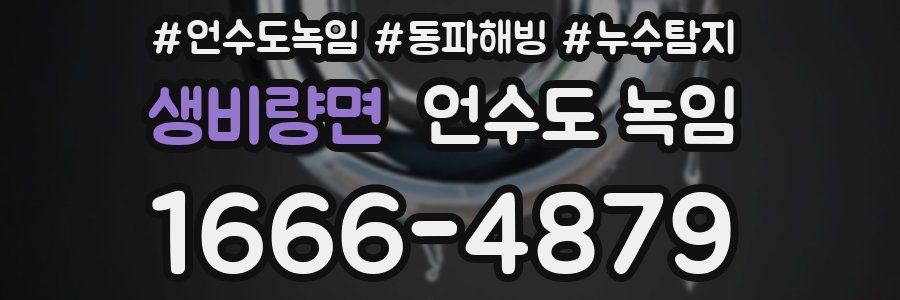 생비량면 언수도 녹임