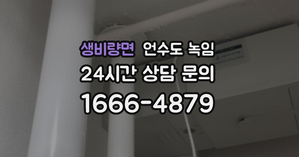 생비량면 언수도 녹임