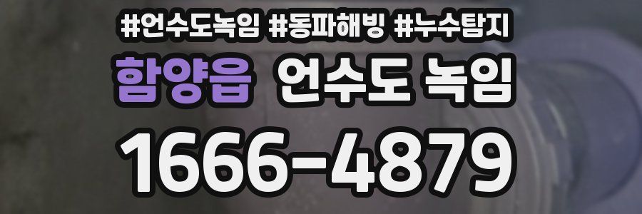 함양읍 언수도 녹임