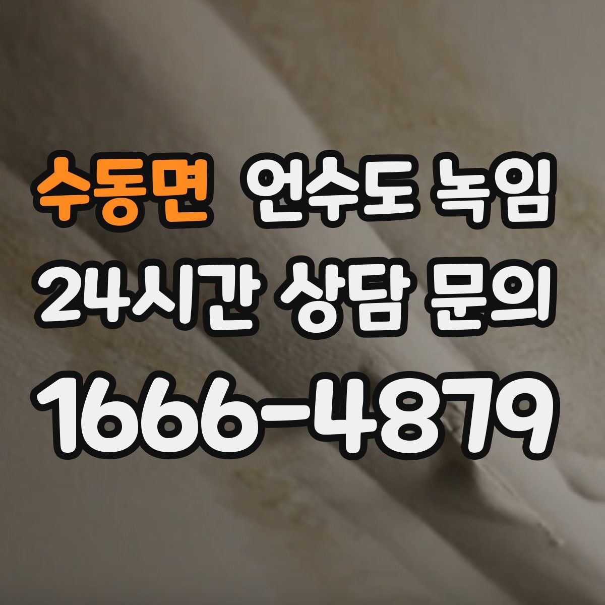 수동면 언수도 녹임