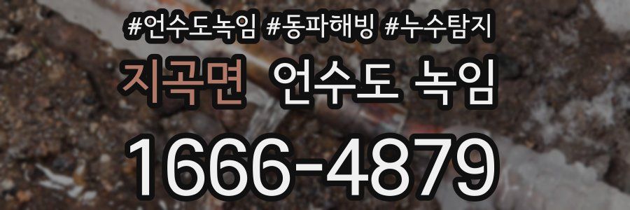 지곡면 언수도 녹임