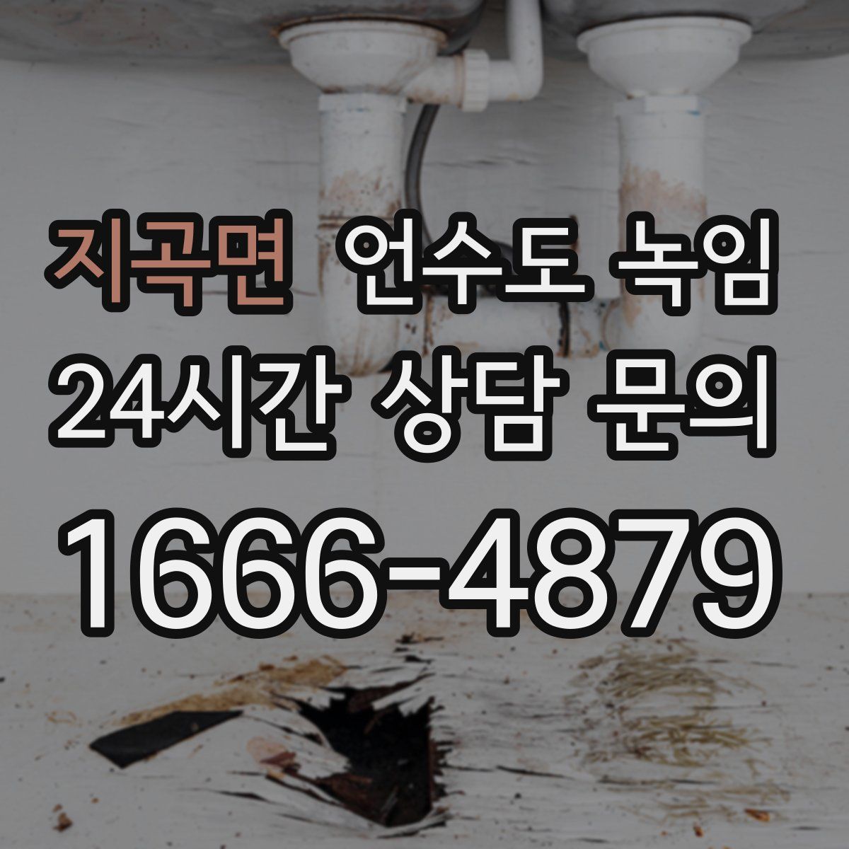 지곡면 언수도 녹임