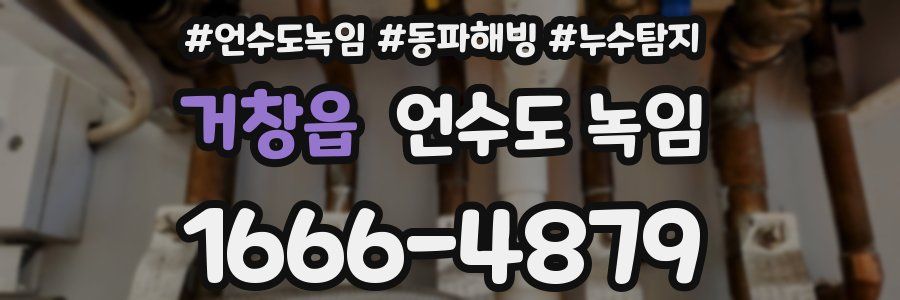 거창읍 언수도 녹임