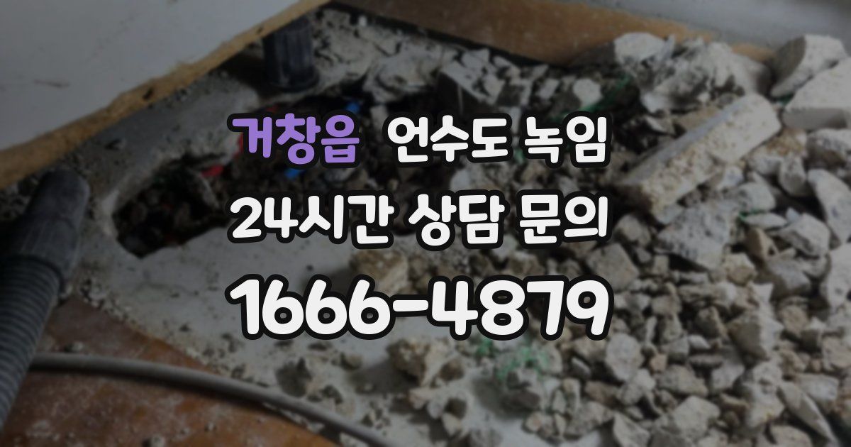 거창읍 언수도 녹임