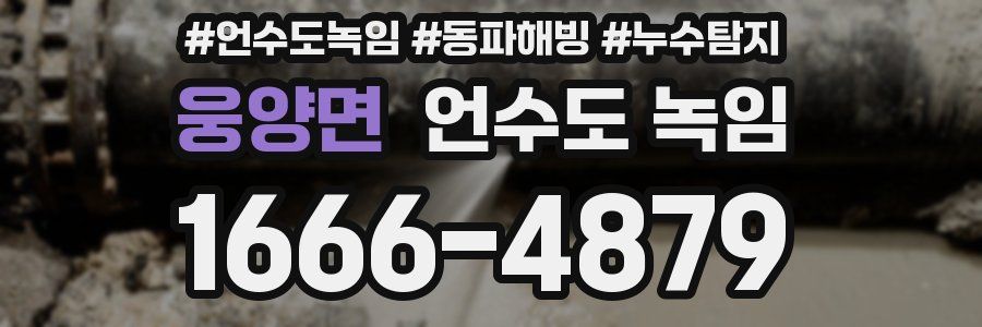 웅양면 언수도 녹임