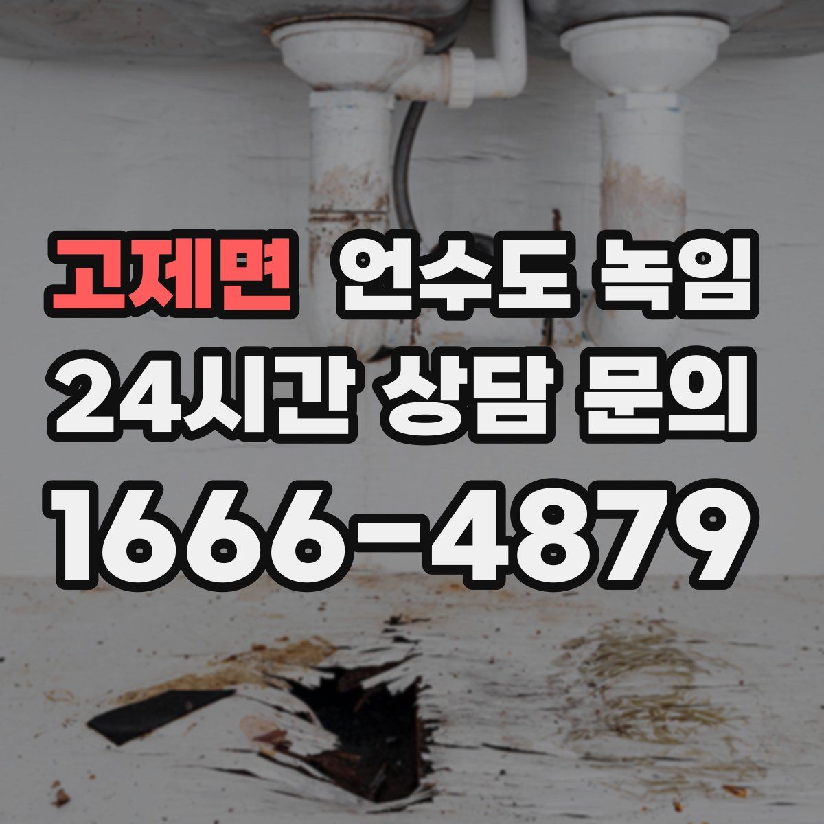 고제면 언수도 녹임