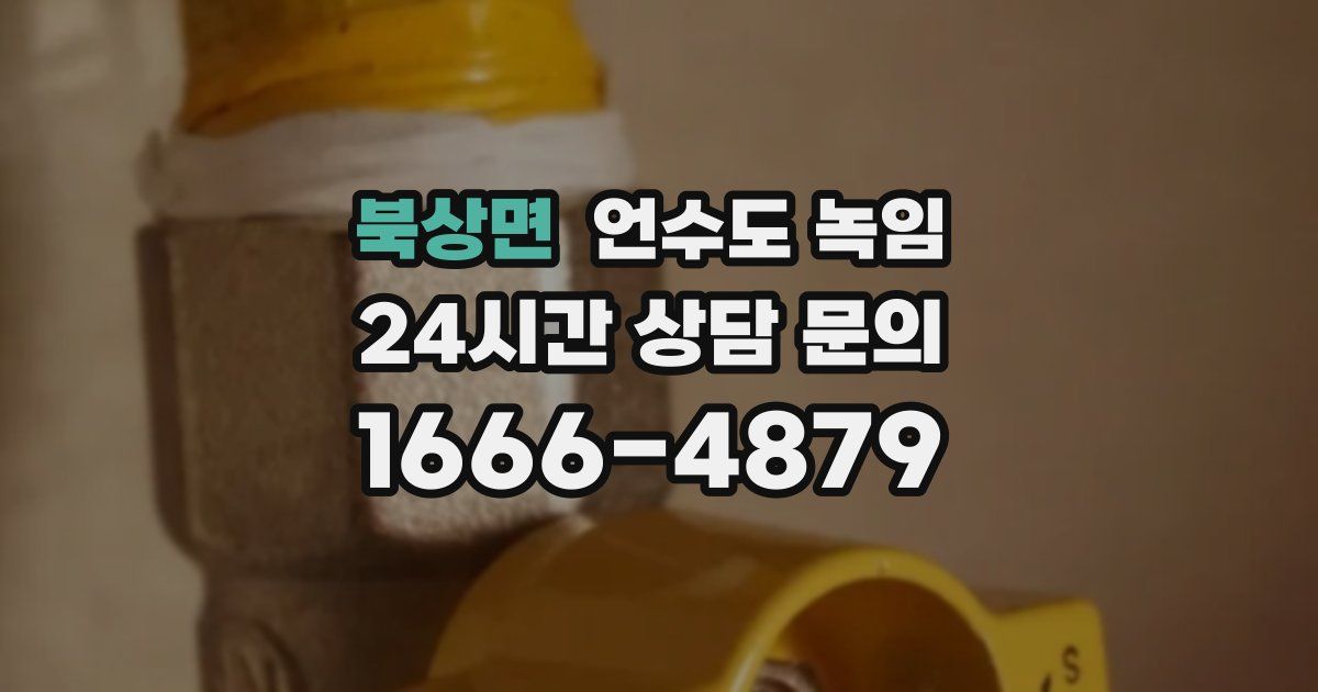 북상면 언수도 녹임