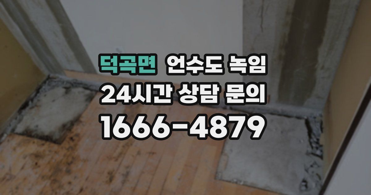 덕곡면 언수도 녹임