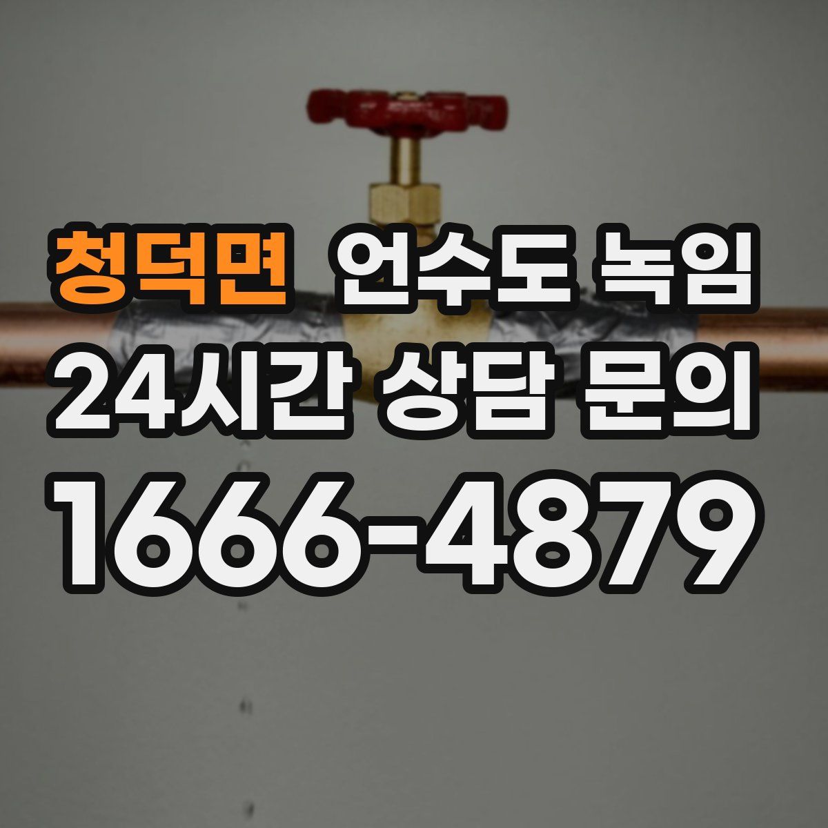 청덕면 언수도 녹임