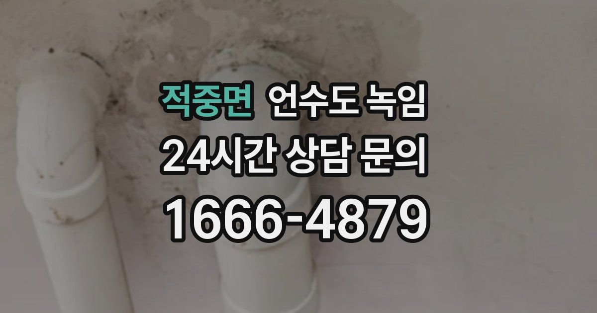 적중면 언수도 녹임