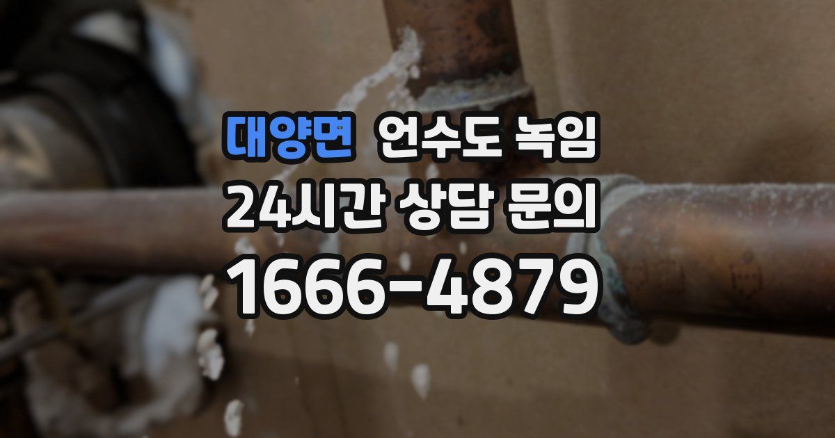 대양면 언수도 녹임