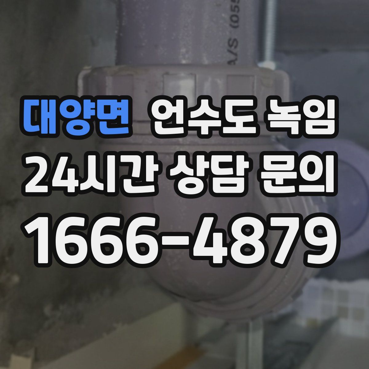 대양면 언수도 녹임