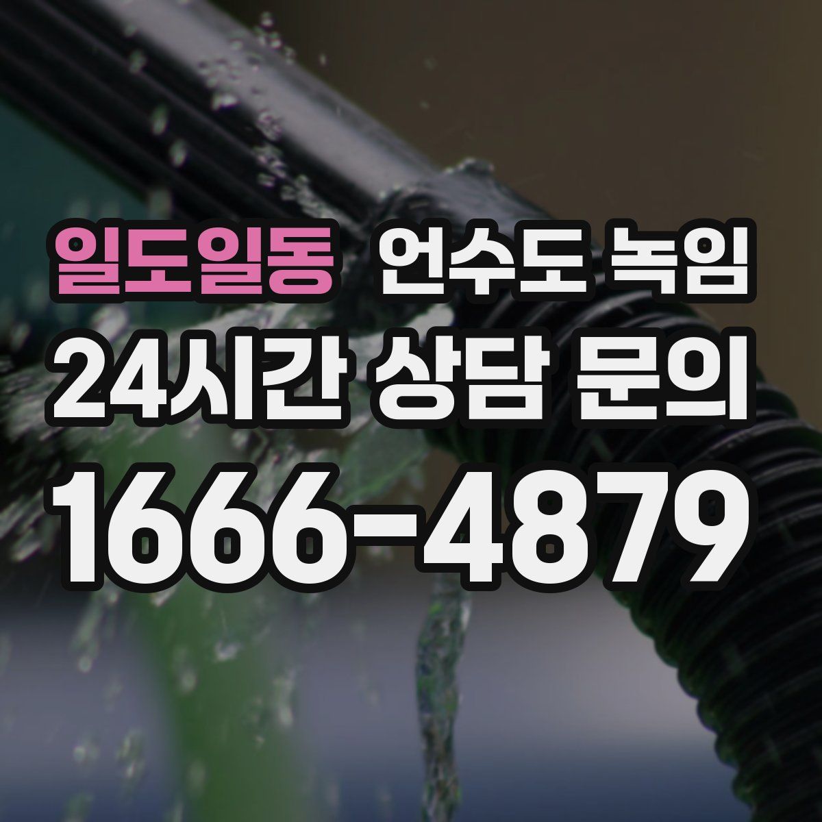 일도일동 언수도 녹임