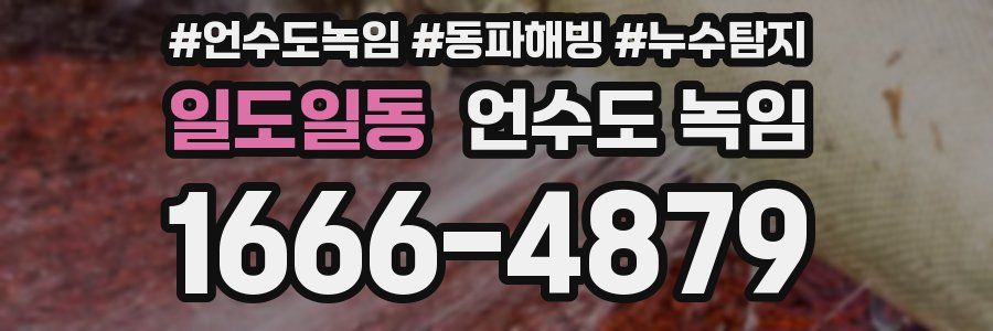 일도일동 언수도 녹임