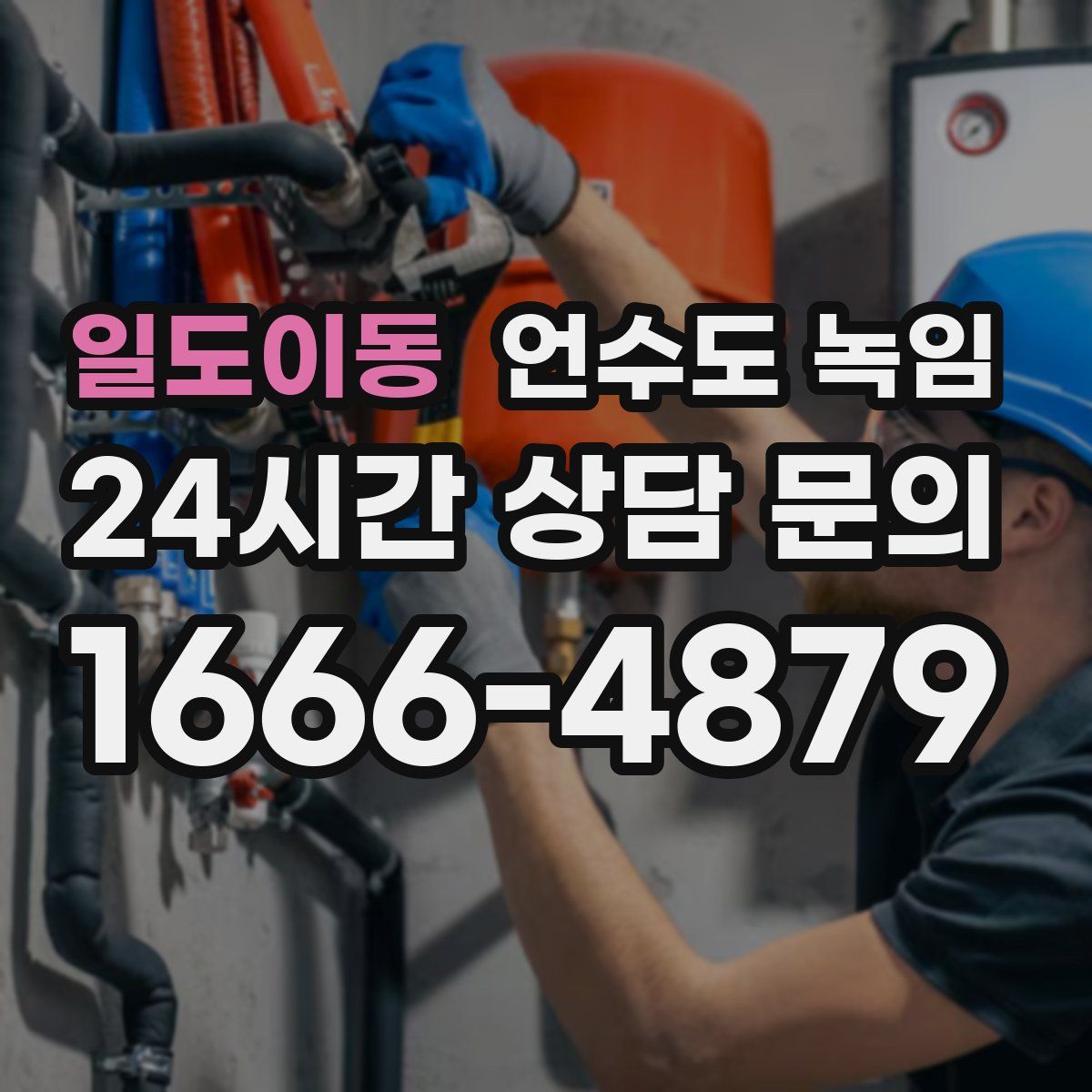 일도이동 언수도 녹임