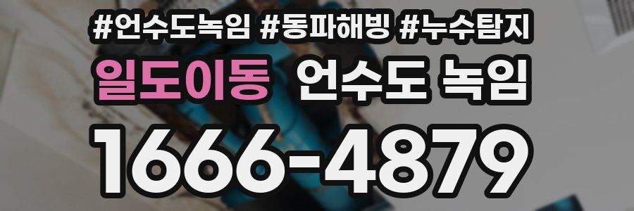 일도이동 언수도 녹임