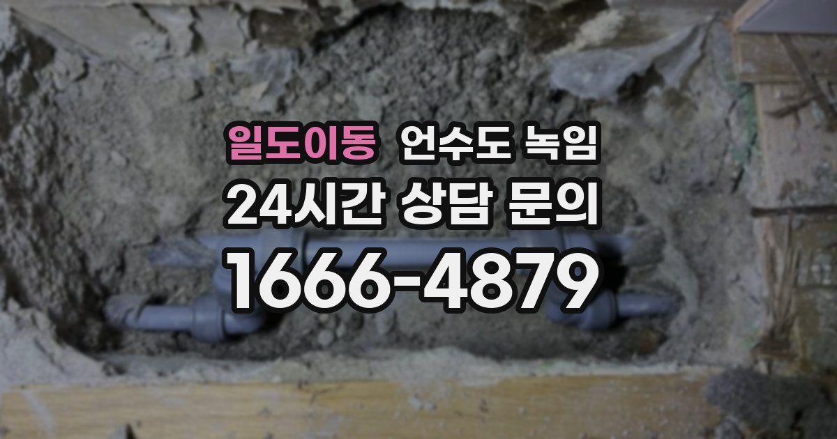 일도이동 언수도 녹임