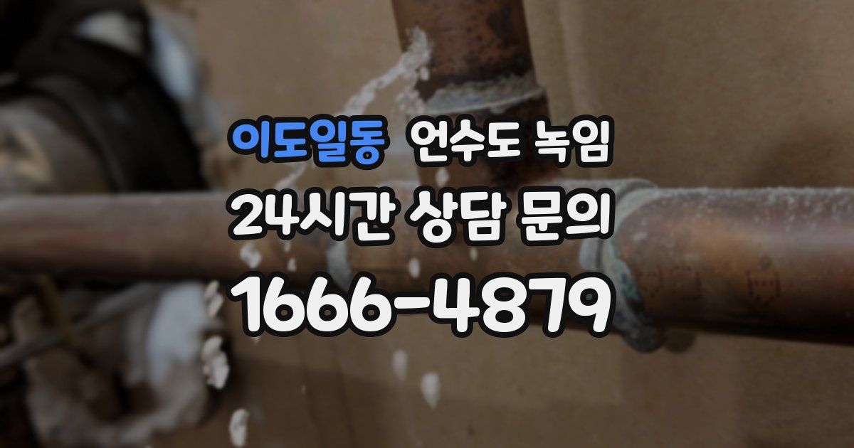 이도일동 언수도 녹임