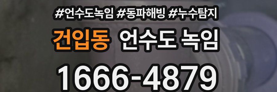 건입동 언수도 녹임