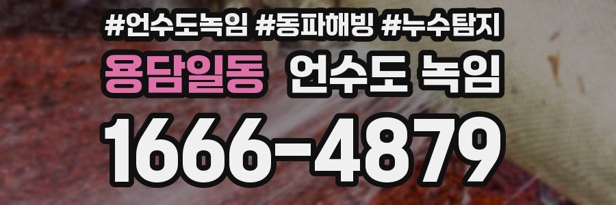 용담일동 언수도 녹임