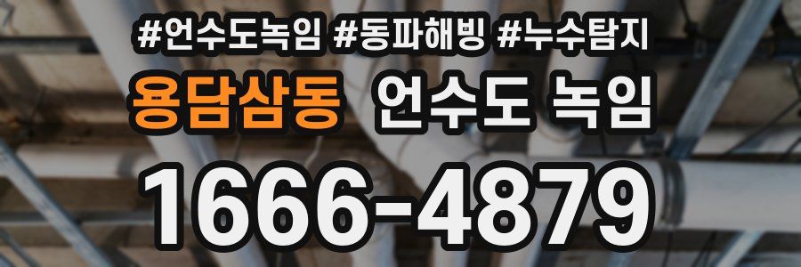 용담삼동 언수도 녹임