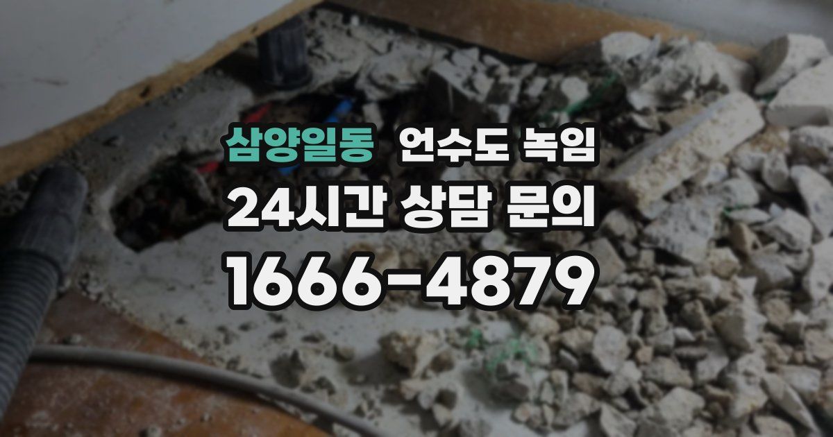 삼양일동 언수도 녹임